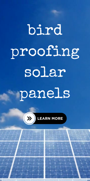 bird proofing solar panels